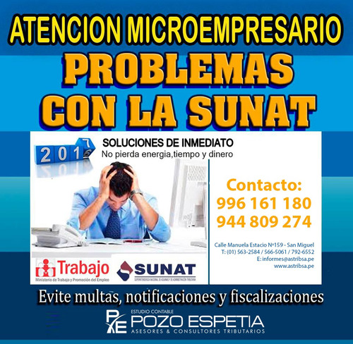 Contador Publico Estudio Contable Sunat Consulta Gratis