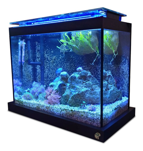 Aquário Marinho 15 Litros Completo + Decoração