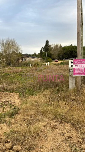 Terreno De 300m2 En La Bota