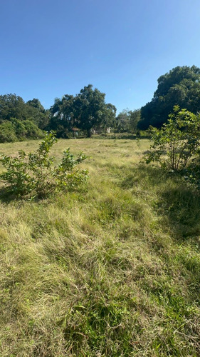 Solares En Oferta San Cristóbal,  Sainagua 