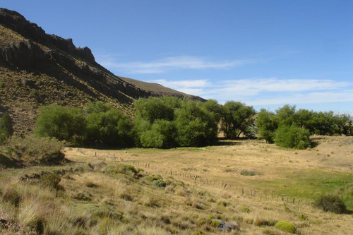 Imagen 15 de 30 de Campo En Venta Zona Alumine, Neuquén