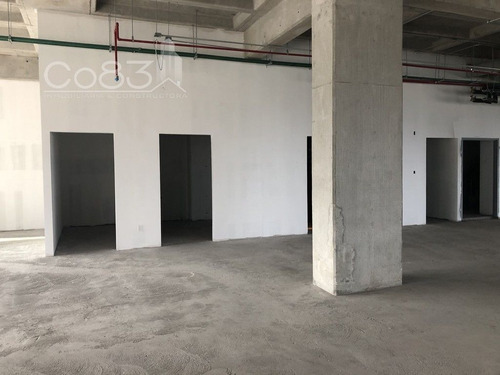 Imagen 5 de 19 de Renta - Oficina - Insurgentes Sur - 720 M2 - Piso 1