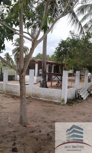 Imagem 3 de 11 de Granja A Venda Em Monte Alegre