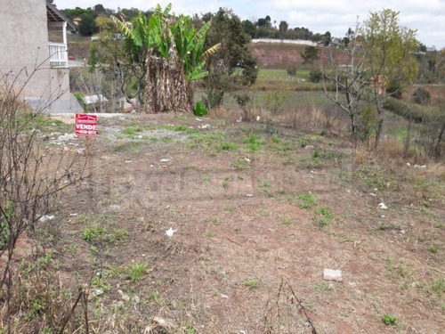 Imagem 3 de 4 de Chacara - Ch00074 - 32912187