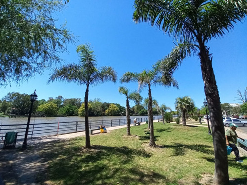 Imagen 1 de 14 de Lote Venta Tigre