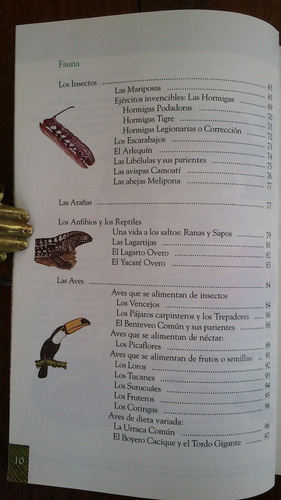 Imagen 4 de 5 de Iguazú Las Leyes De La Selva - Santiago G. De La Vega