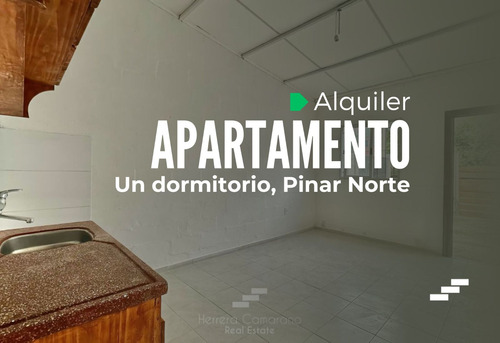 ¡¡apartamento En Alquiler, A Nuevo, Un Dormitorio!!