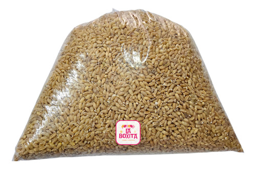 5kg Cebada Perla O Perlada Artesanal Hecha En Yucatán