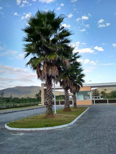 Terreno À Venda, 603 M²- Ratones - Florianópolis/sc - Te0215