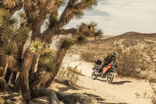 Imagen 8 de 9 de Kawasaki Klr 650 2023 Con Financiación!