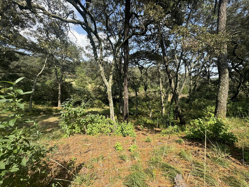 Vendo Terreno Boscoso De 11 Hectáreas En Jilótepec