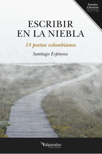 Escribir En La Niebla, De Espinosa, Santiago. Editorial Valparaíso Ediciones, Tapa Blanda En Español