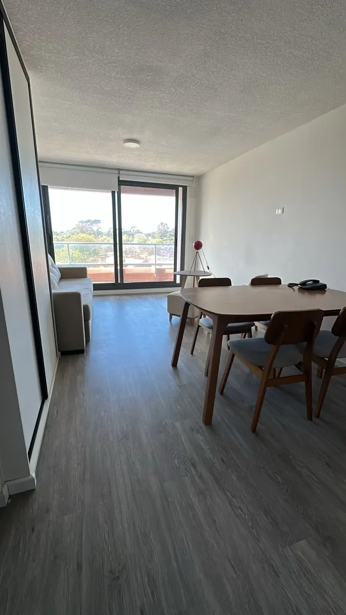 Monoambiente Amoblado Alquiler Anual Torre Italia · Foto 3