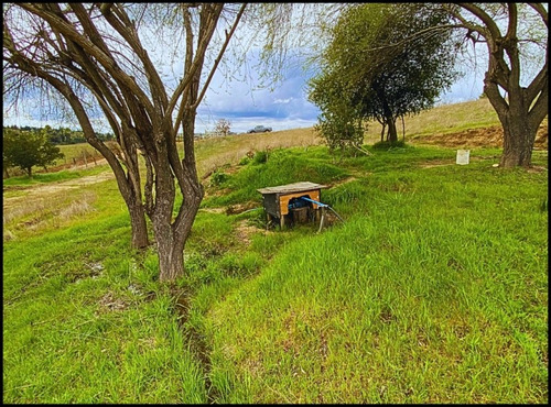 Hermosas Parcelas En Yumbel Con Casa Y Quincho Rust