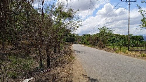 Imagen 6 de 14 de ¡venta! Lote De Terreno En Cúa