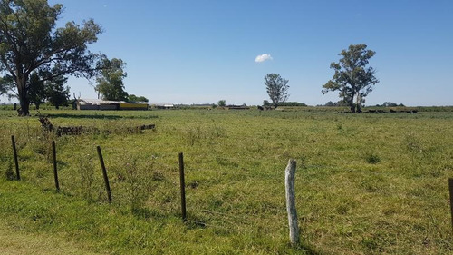 Imagen 5 de 30 de Campo - Navarro