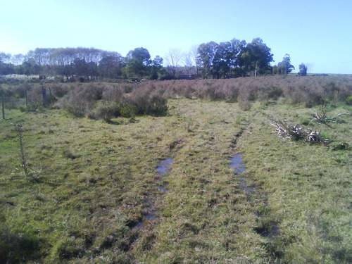 Campo En Cuchilla Alta Dueño Vende