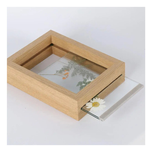 Marco Para Muestras De Flores Y Hojas Secas Con Cristal Auté