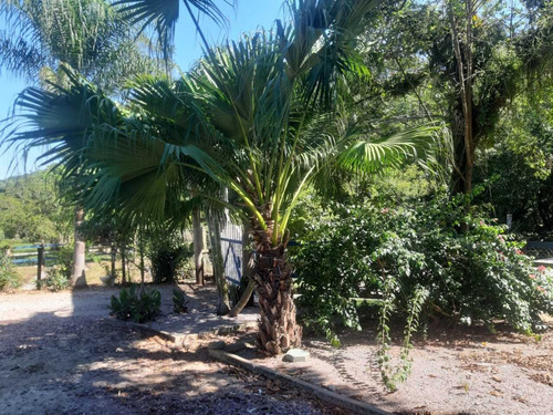 Imagem 13 de 13 de Chácara Em Guarda Do Cubatão, Palhoça/sc De 56m² 3 Quartos À Venda Por R$ 1.700.000,00 - Ch2330854-s