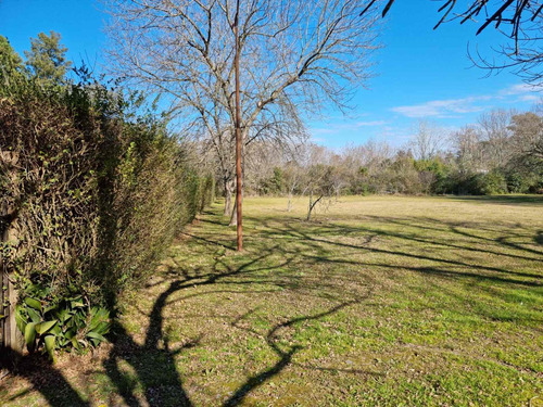 Imagen 8 de 14 de Terreno En Venta 1800m2 Con Excelente Arboleda