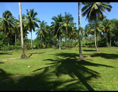 Vendo Finca De 5 Mil Tareas En Cotuy Roroq