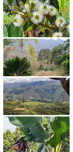 Venta De Finca De 8500mt2 En Dagua, Valle Del Cauca 6060.