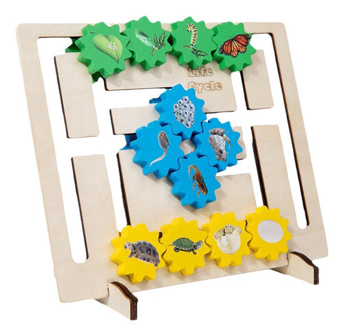 Tablero Montessori Toy Life Cycle Pensamiento Educativo [u]