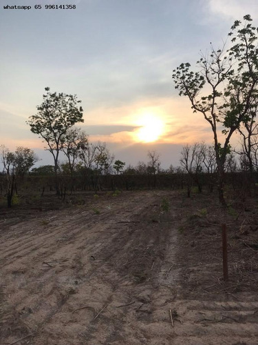 Imagem 15 de 15 de Lote Para Venda Em Acorizal, 07 De Maio - 10117_1-2260711