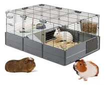 Comprar Jaula Modular Conejos Cobayos Roedores Ferplast Habitat