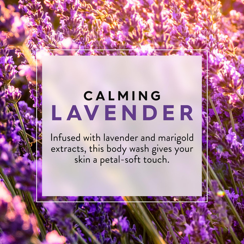 Gel De Baño Jason Lavender Calming 900 Ml Con Vitamina E Y B