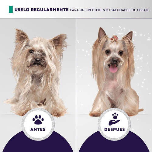 Hydra Whitening Shampoo 5000 Ml Champú Blanqueador Para Perr