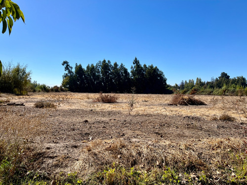 Parcela De 2,2 Hectáreas Con Casa De 227m2 En Los Guindos