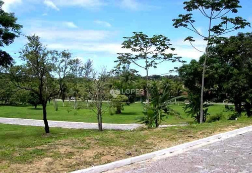 Imagem 3 de 17 de Terreno À Venda, 1001 M² Por R$ 290.000,00 - Piratininga - Niterói/rj - Te2694