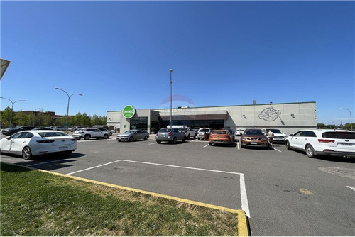 Imagen 7 de 7 de Terreno En Chillán 2000 M2, Sector Asturias