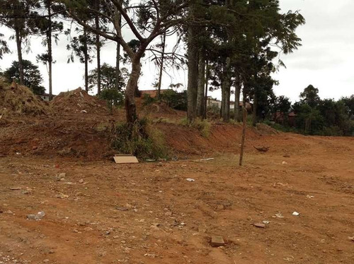 Imagem 4 de 6 de Area Comercial Para Venda, Área De Zis (zona De Interesse Social), Com Possibilidade De Construção Mcmv (minha Casa Minha Vida), - Vizinhança Repleta De Casas E Prédios Populares. - Ar00008 - 682000