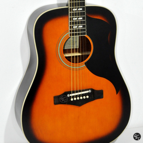 Guitarra Acustica Eko Ranger Vr Vi Profesional + Funda + Pua