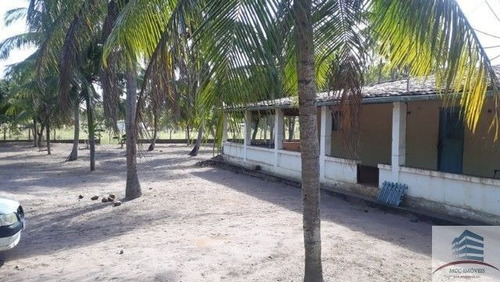 Imagem 9 de 14 de Granja A Venda Lagoa Do Bonfim