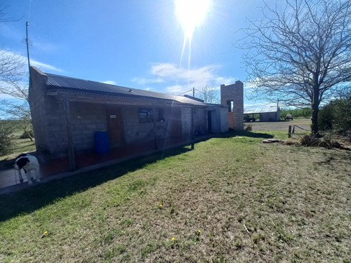 Campo - Caleu Caleu