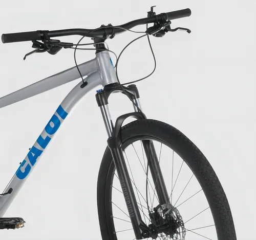 Caloi expert mountain bike hotsell