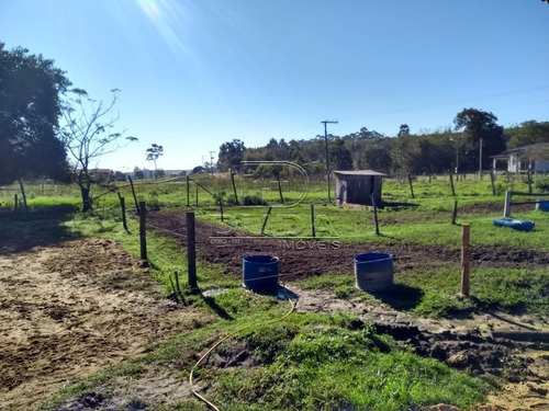 Imagem 9 de 15 de Sitio - Coqueiros - Ref: 26160 - V-26160