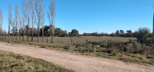 Venta Hermosa Casa Quinta 6 Hectáreas - Chacra En Gualeguay