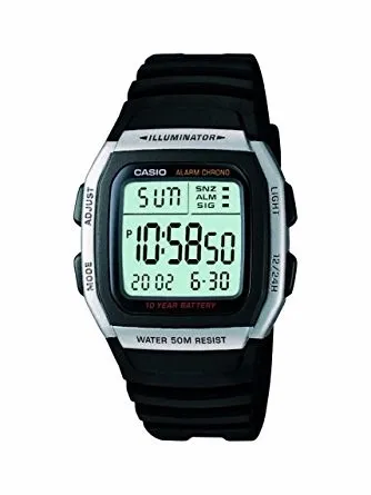 Casio top w 100