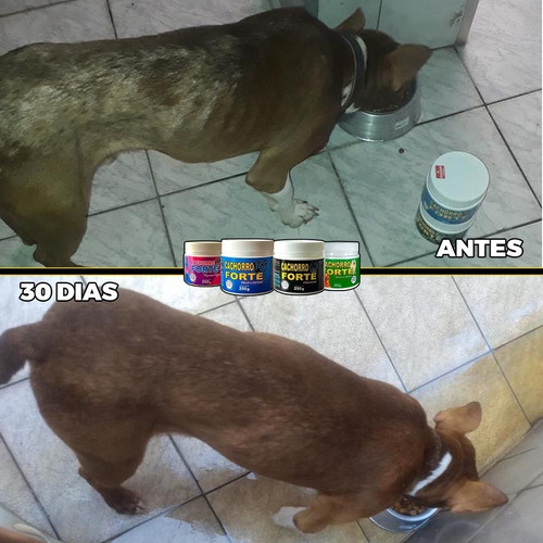Vitamina Para Abrir O Apetite Cachorro Forte 250g