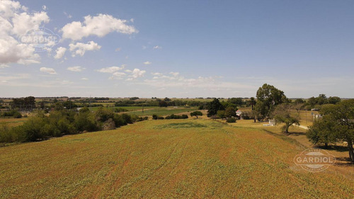 Terrenos En Venta De 1 Ha.  Lote 11. Fraccionamiento Ruta 21. Colonia