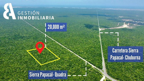 Terreno De 2 Hectareas En Venta Ucu-carretera A Chuburna Pue