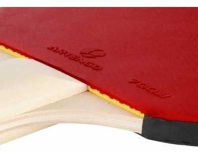 Raquetas Ping Pong Pelotas