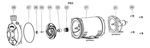 Carcasa de bomba centrífuga Famac Fgx con rotor de acero inoxidable, 0,75 A, 4 CV, color negro y verde, fase eléctrica, ambas frecuencias, N/A, ambas
