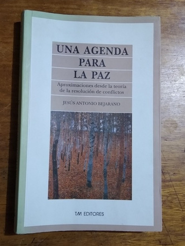 Una Agenda Para La Paz / Jesús Antonio Bejarano Ávila