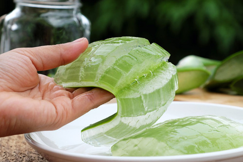 Imagen 3 de 8 de Aloe Vera: Gel Puro 1 Litro - Del Alba