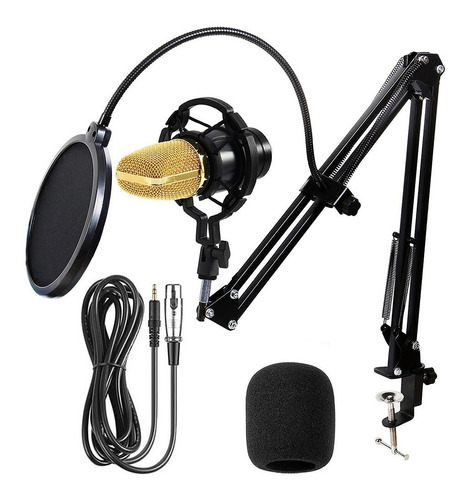 Kit Microfono Condensador De Estudio Podcast + Brazo Filtro